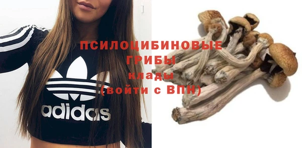 винт Алексин