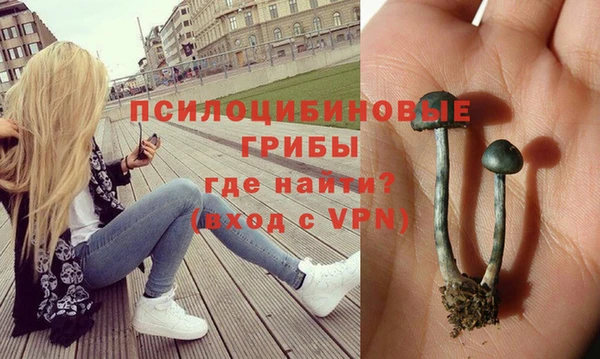 индика Алексеевка