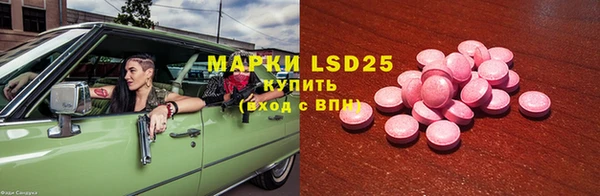 индика Алексеевка
