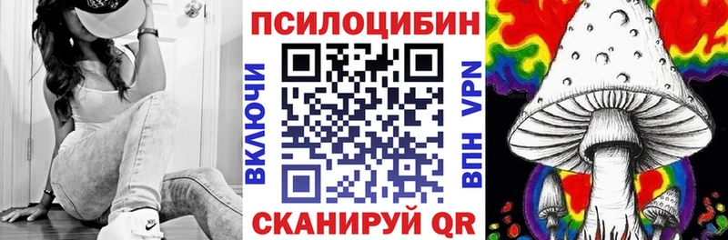 мориарти состав Апрелевка Псилоцибиновые грибы Psilocybe